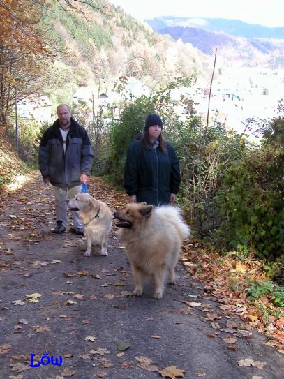 November 2007: Herbstwanderung